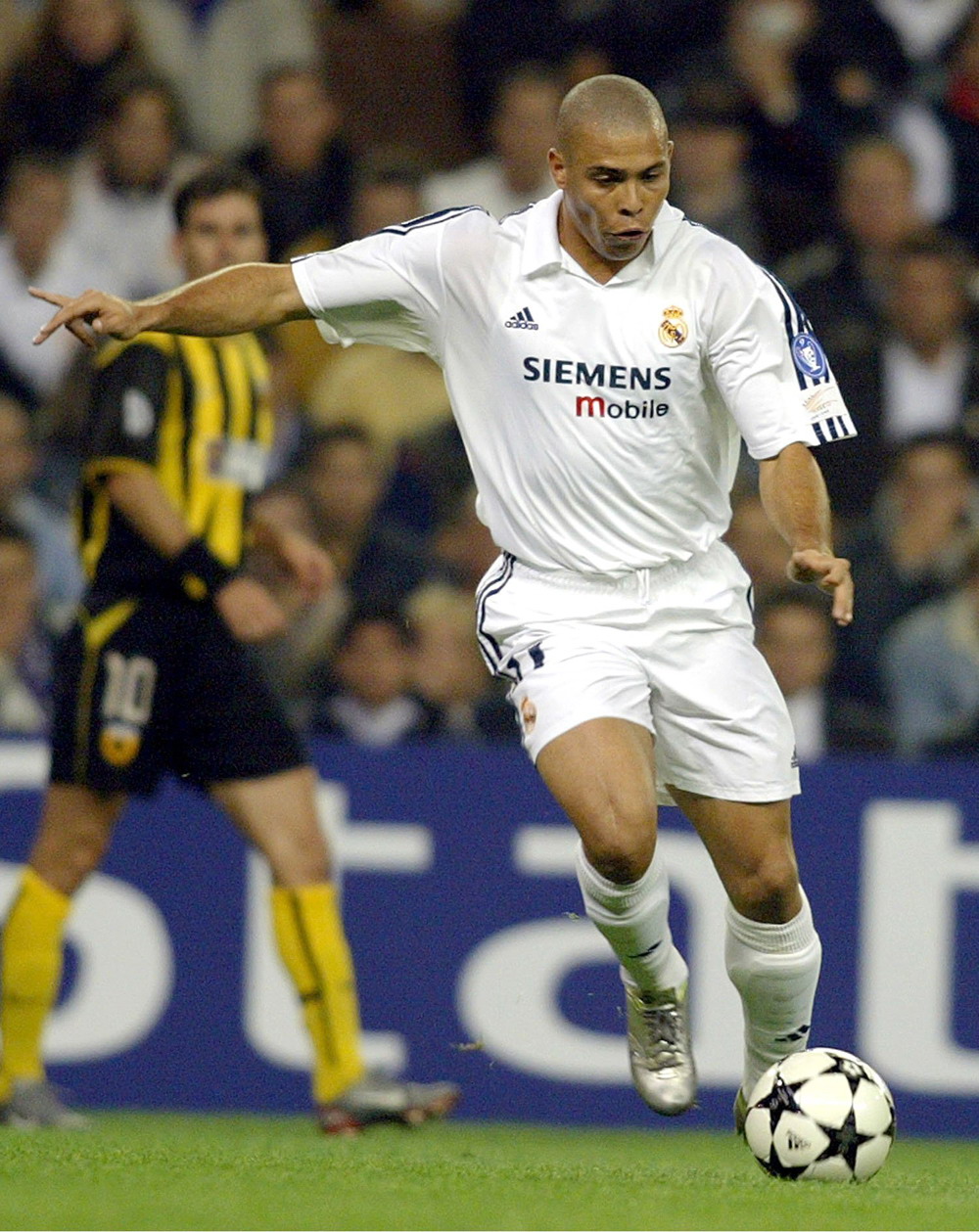 它强调可进 它强调可进